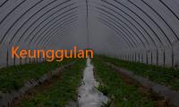 Keunggulan Spotbet dalam Menyediakan Layanan Pelanggan yang Responsif! Mengubah Cara Pelanggan Berinteraksi dengan Platform